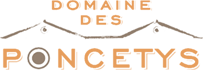logo domaine poncetys